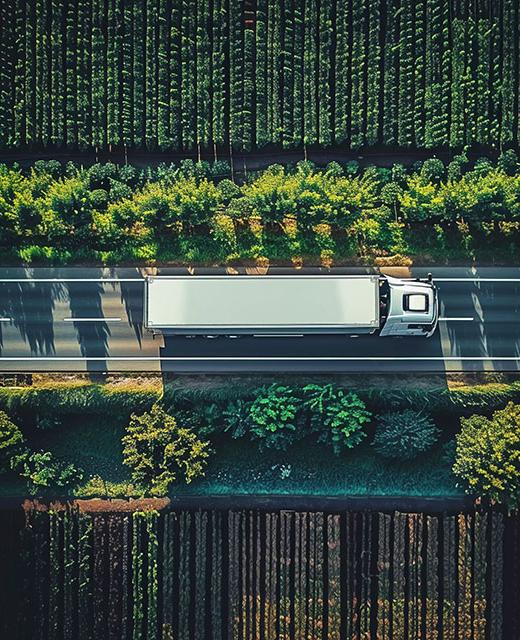Reliable-Transport-Zoella-Farm